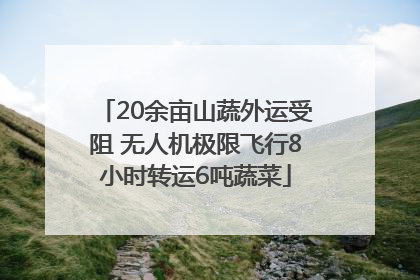 20余亩山蔬外运受阻 无人机极限飞行8小时转运6吨蔬菜